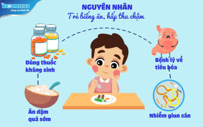 CÁC BIỆN PHÁP TĂNG HẤP THU THỰC PHẨM CHO TRẺ