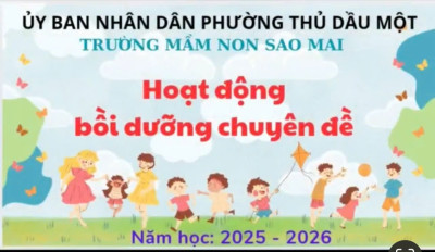Hoạt động bồi dưỡng chuyên đề của trường Mầm non Sao Mai