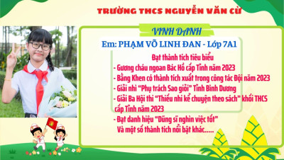 Phạm Võ Linh Đan - Bông hoa nhỏ tiêu biểu trong vườn hoa Cháu ngoan Bác Hồ